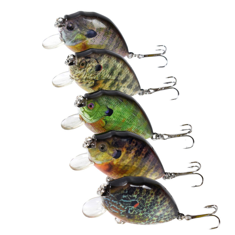 5pcs Fishing Lure Lot Shallow Diving Rattling Crankbait Hook Bass Bait Tackle