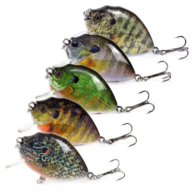 5pcs Fishing Lure Lot Shallow Diving Rattling Crankbait Hook Bass Bait Tackle